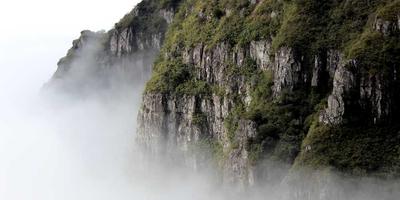 专业套餐